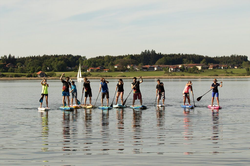 a group of people stand up paddle boarding on a lake